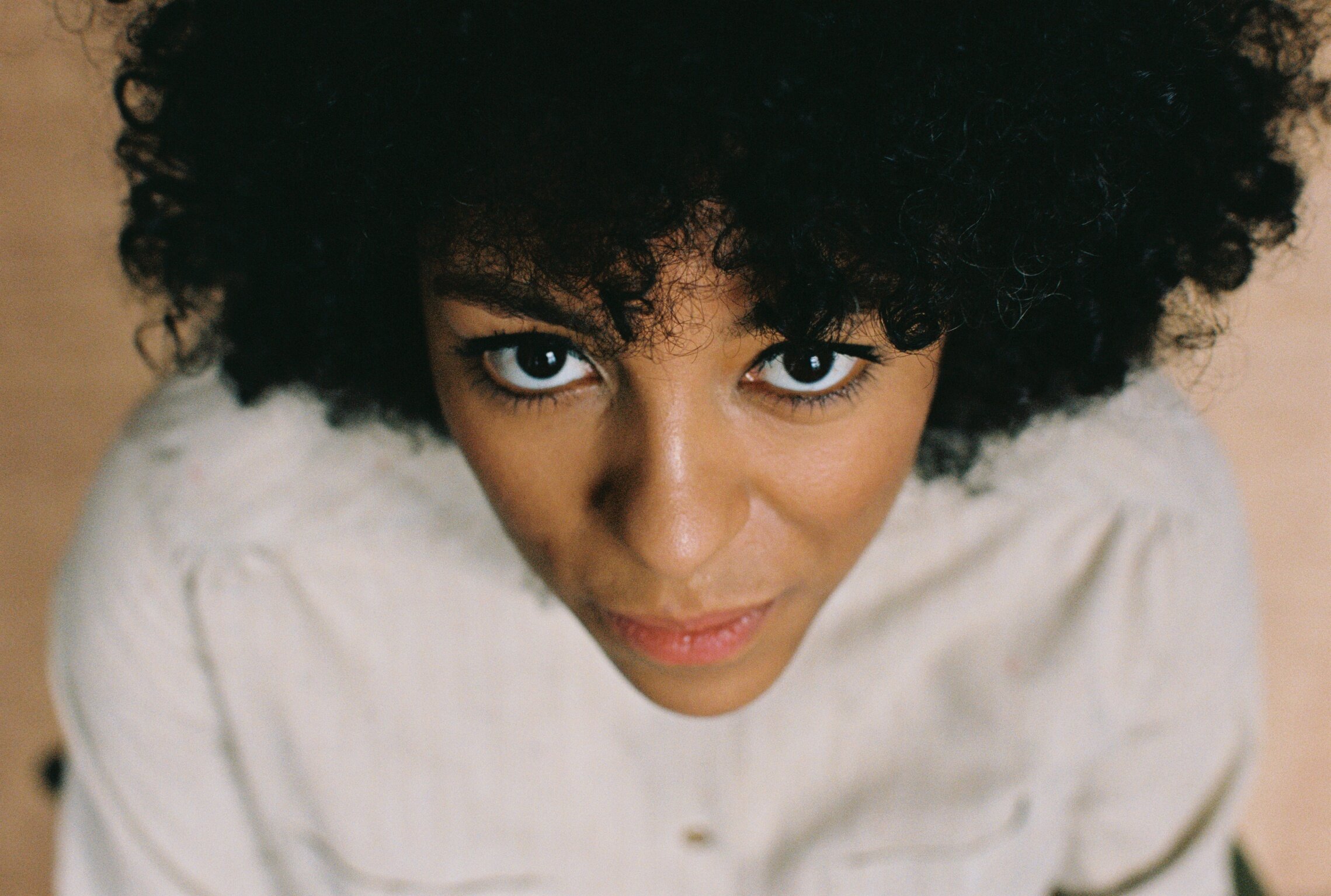 National Song (Big Dreaming Ants): a powerful message on dual heritage